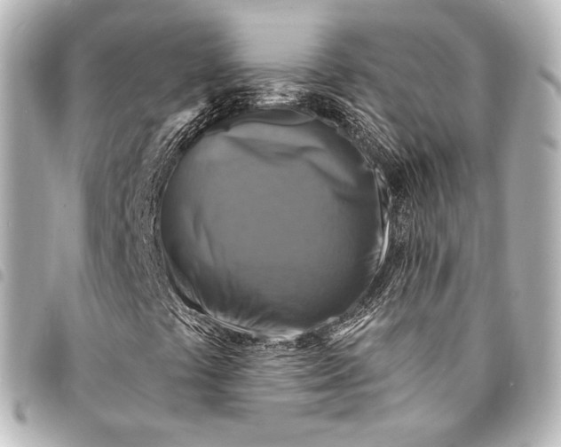 X0000095551441200712281556