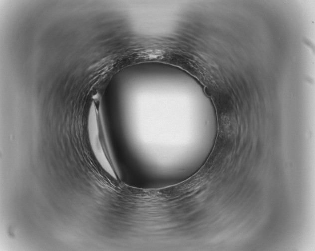 X0000095551442200712281556