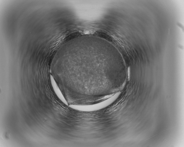 X0000095551443200712281556