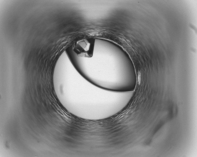 X0000095551444200712281556