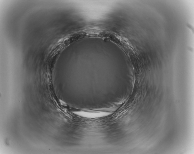 X0000095551445200712281556