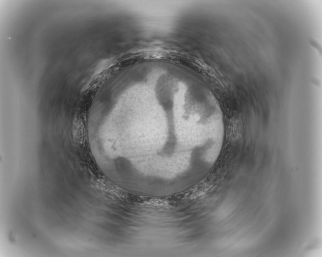 X0000095551446200712281556