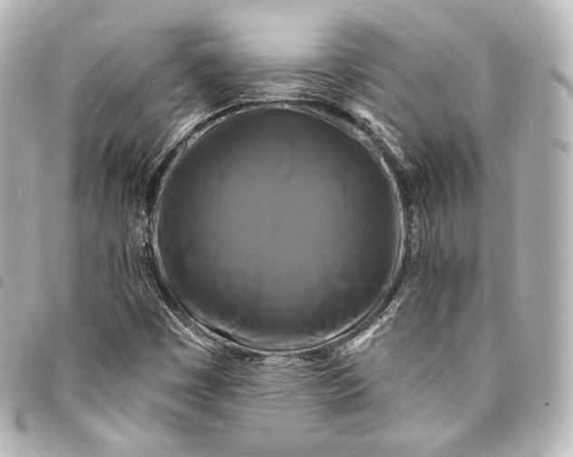 X0000095551449200712281556