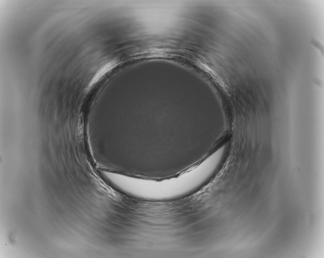 X0000095551450200712281556