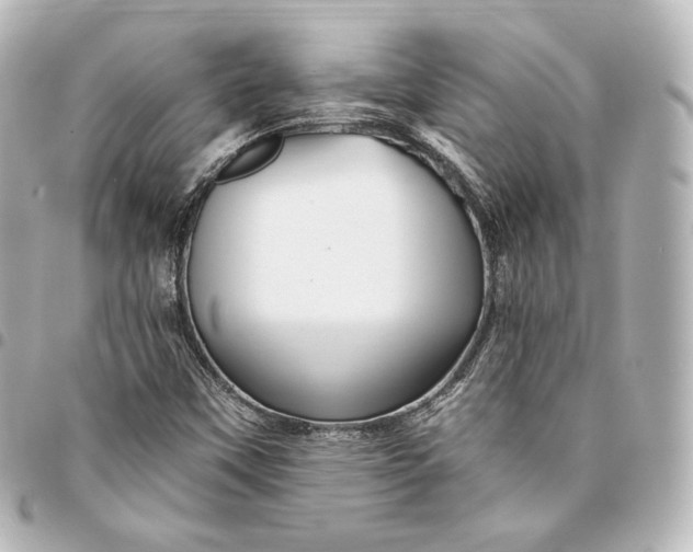 X0000095551451200712281556