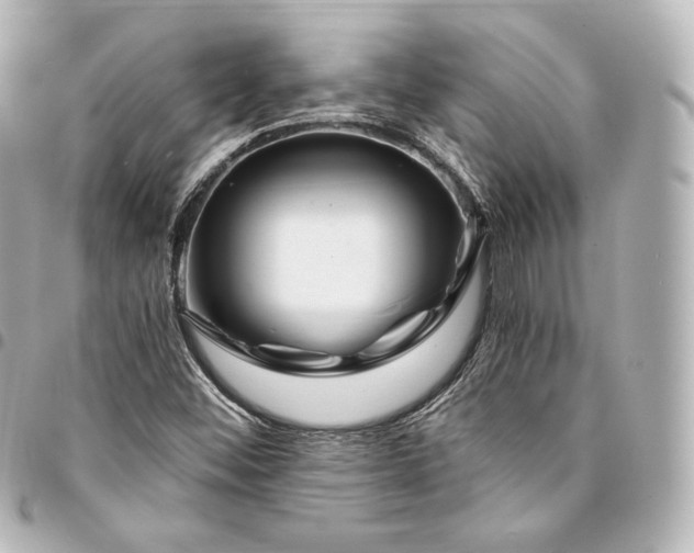 X0000095551452200712281556