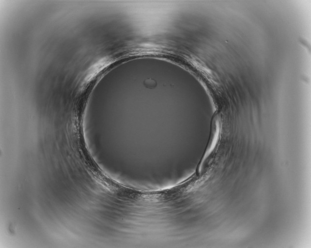 X0000095551453200712281556