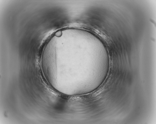 X0000095551454200712281556