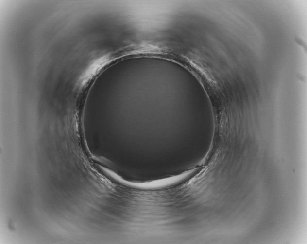 X0000095551455200712281556