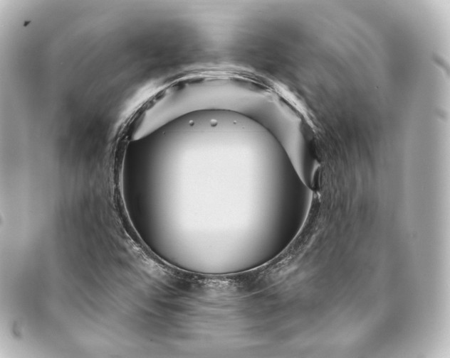 X0000095551456200712281556