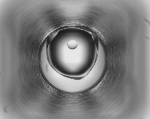 X0000095551457200712281556