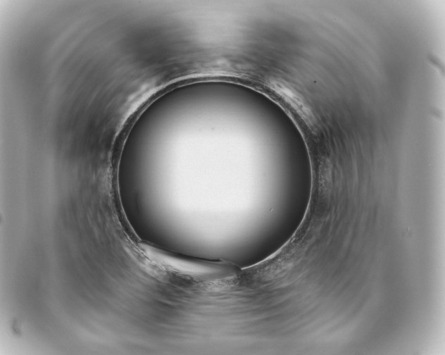 X0000095551460200712281556