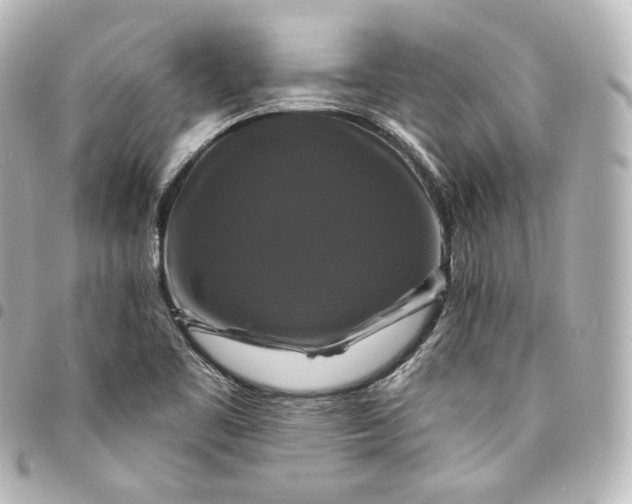 X0000095551461200712281556