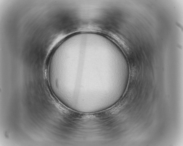 X0000095551462200712281556