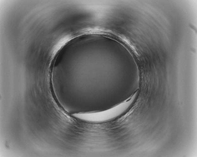 X0000095551463200712281556