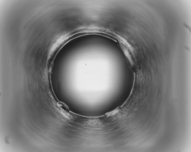 X0000095551464200712281556