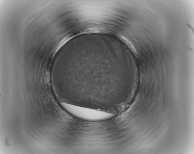 X0000095551465200712281556