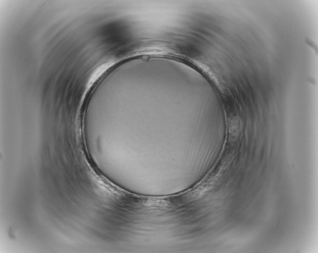 X0000095551466200712281556