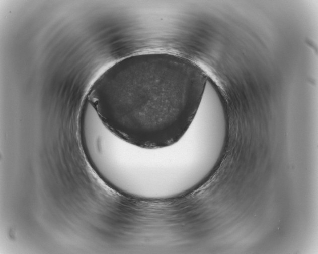 X0000095551468200712281555