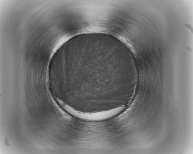 X0000095551469200712281555