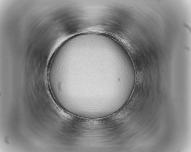 X0000095551470200712281555