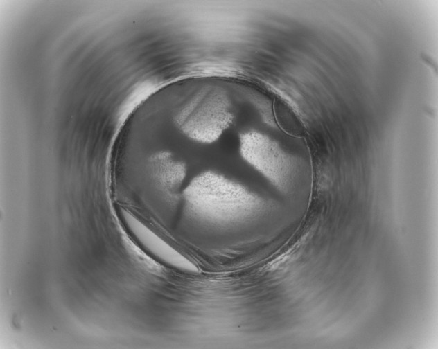 X0000095551471200712281555