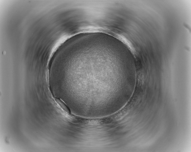 X0000095551472200712281555