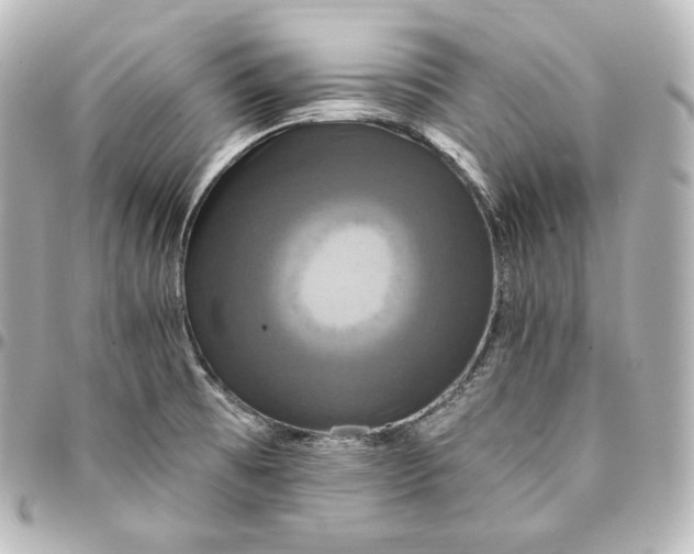 X0000095551473200712281555