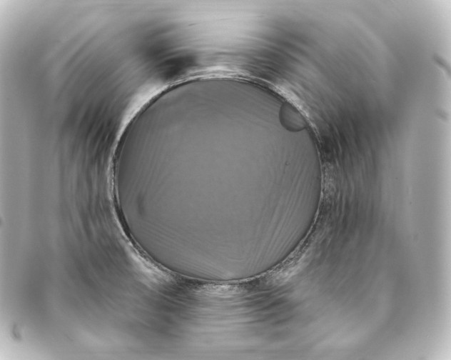 X0000095551474200712281555