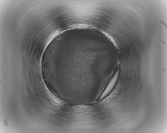 X0000095551475200712281555