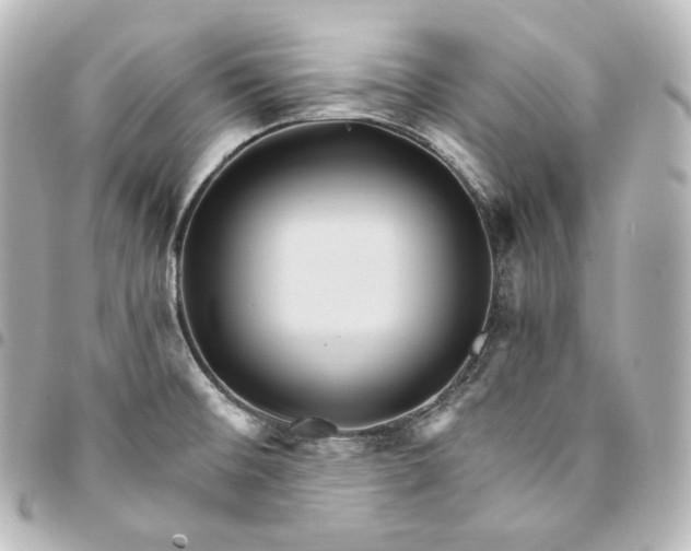 X0000095551476200712281555