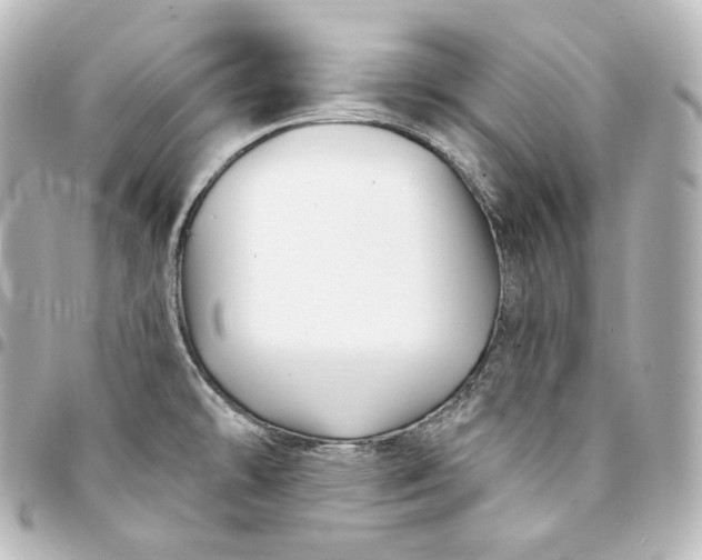 X0000095551478200712281555