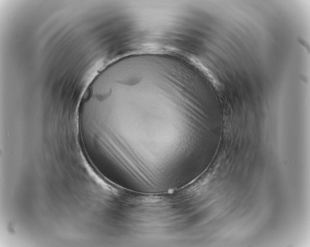 X0000095551479200712281555