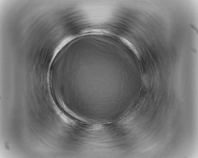 X0000095551482200712281555