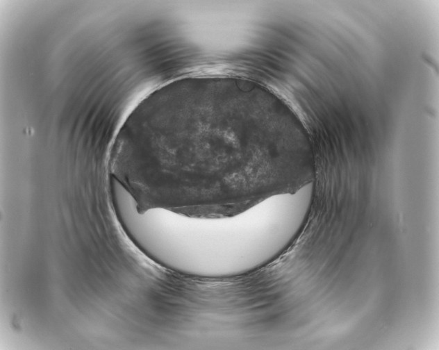 X0000095551483200712281555