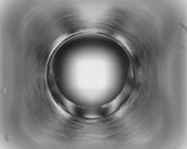 X0000095551484200712281555