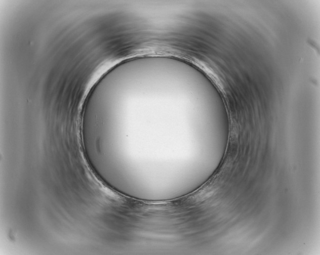 X0000095551486200712281555