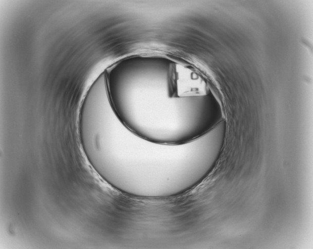 X0000095551488200712281555