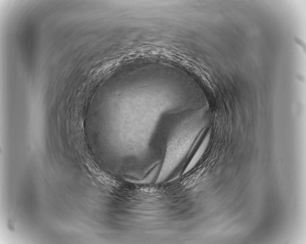 X0000095551489200712281555