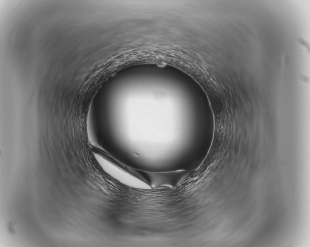 X0000095551490200712281555