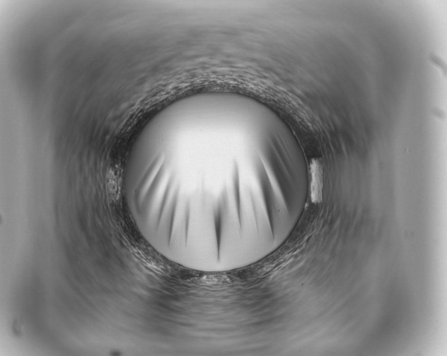 X0000095551491200712281555