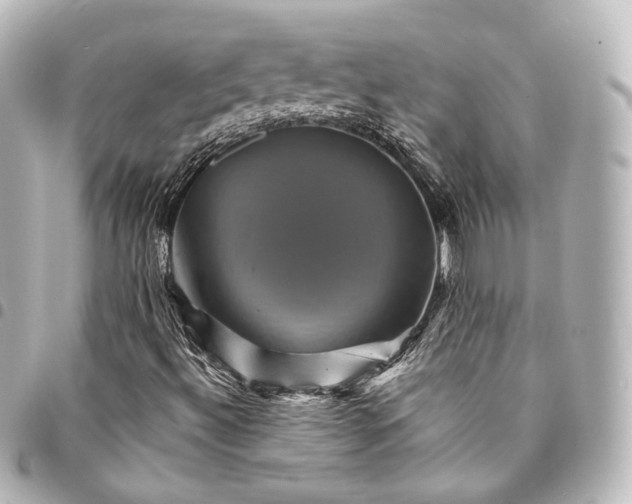 X0000095551492200712281555