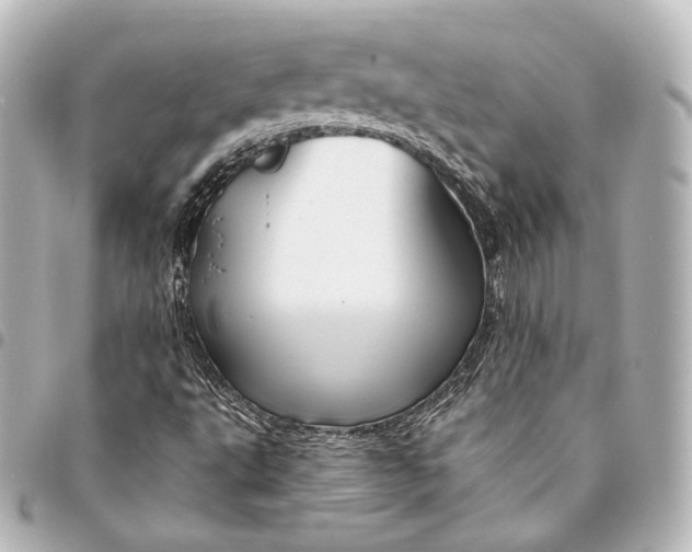 X0000095551495200712281555