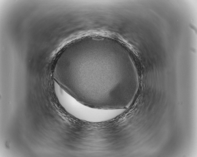 X0000095551496200712281555