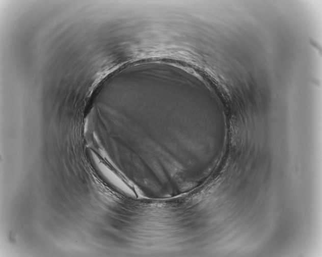 X0000095551497200712281555