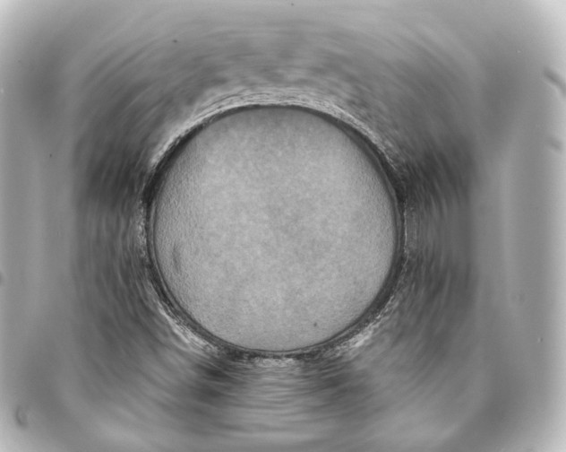 X0000095551498200712281555