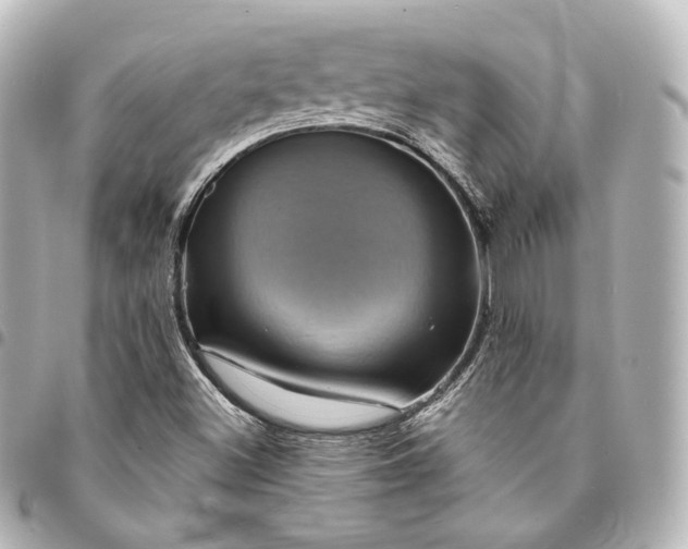 X0000095551500200712281555