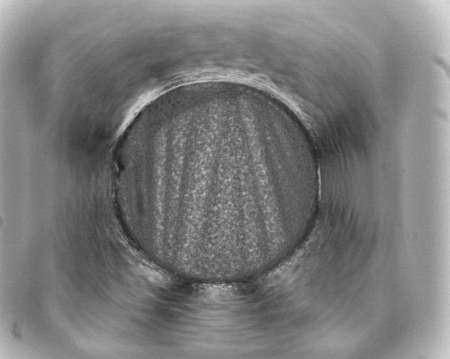 X0000095551501200712281555