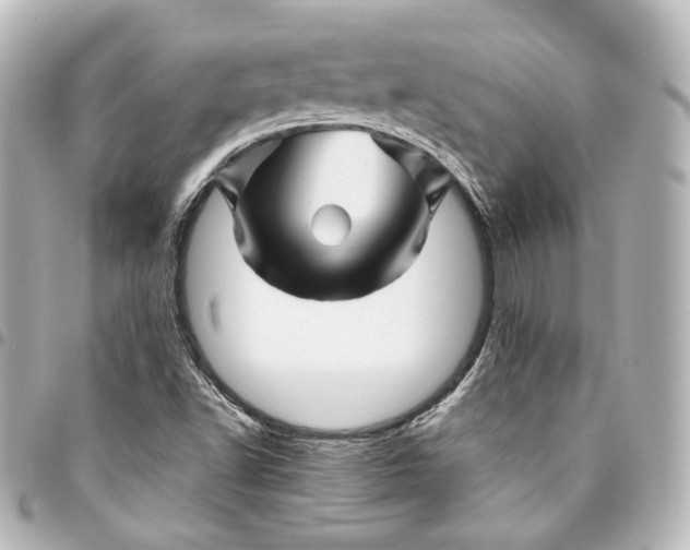 X0000095551502200712281555