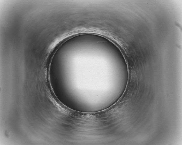 X0000095551503200712281555